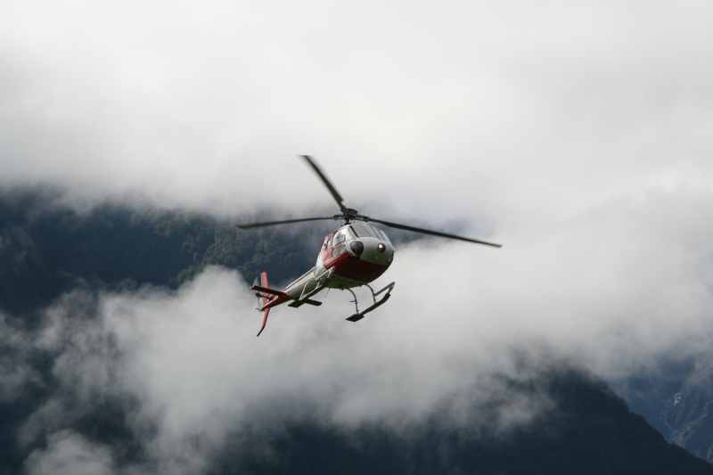 Nieuw-Zeeland 2011 - 1484